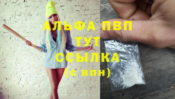 apvp Горняк