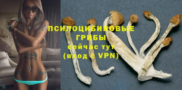 apvp Горняк
