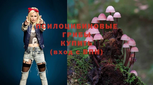 Альфа ПВП Горнозаводск