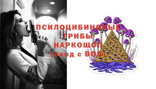 Альфа ПВП Горнозаводск