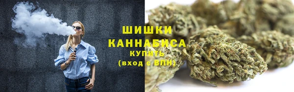 apvp Горняк