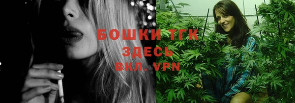 Альфа ПВП Горнозаводск
