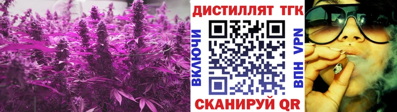 Купить где  Междуреченск  ТГК жижа 