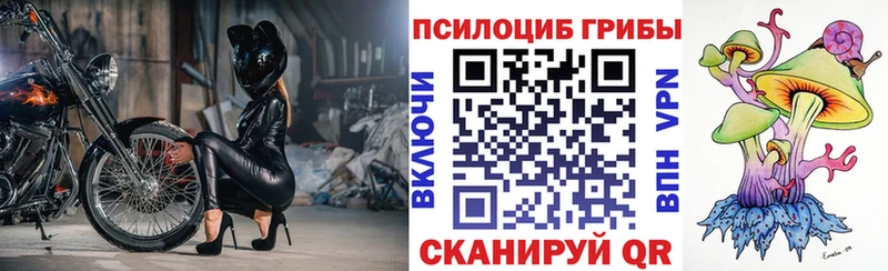 Псилоцибиновые грибы прущие грибы  Купить  Междуреченск 
